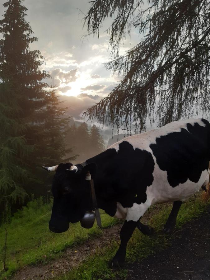 Apartament Reithgut Sankt Martin am Tennengebirge Zewnętrze zdjęcie